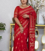 Halfsilk Sharee with Blouse-SS-6001