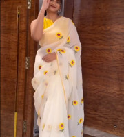 Semi Moslin Embroidery Saree Em-169